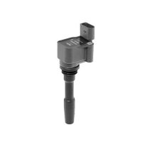 BorgWarner (BERU) ZSE231 Zündspule