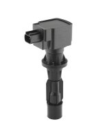 BorgWarner (BERU) ZS618 Zündspule