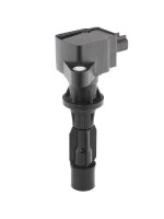 BorgWarner (BERU) ZS618 Zündspule