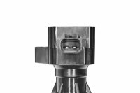 BorgWarner (BERU) ZS618 Zündspule