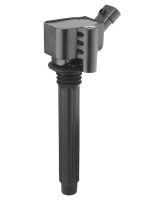 BorgWarner (BERU) ZS619 Zündspule