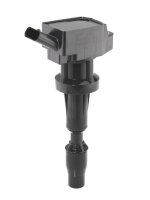 BorgWarner (BERU) ZSE262 Zündspule