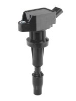 BorgWarner (BERU) ZSE262 Zündspule