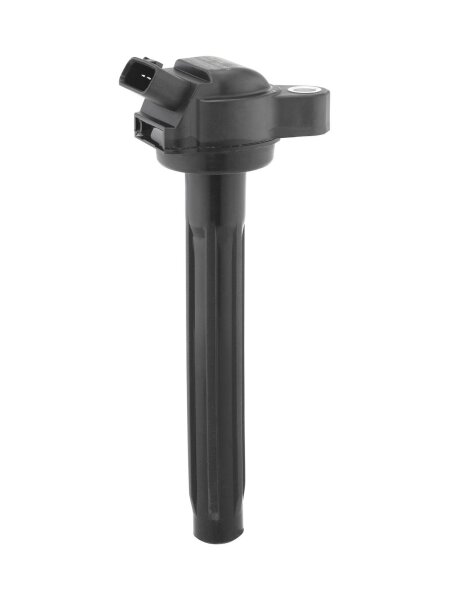 BorgWarner (BERU) ZSE261 Zündspule