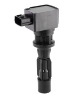 BorgWarner (BERU) ZSE311 Zündspule