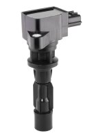 BorgWarner (BERU) ZSE311 Zündspule