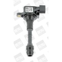 BorgWarner (BERU) ZSE079 Zündspule