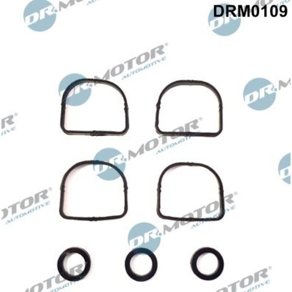 Dr.Motor Automotive DRM0109 Dichtungssatz, Ansaugkrümmer