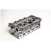 AMC 908995 Zylinderkopf
