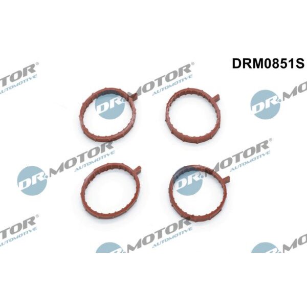 Dr.Motor Automotive DRM0851S Dichtungssatz, Ansaugkrümmer