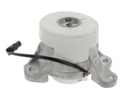 CORTECO 49427527 Lagerung, Motor