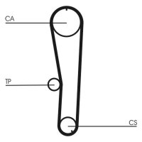 CONTINENTAL CTAM CT1072 Zahnriemen