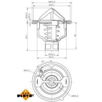 NRF 725142 Thermostat, Kühlmittel