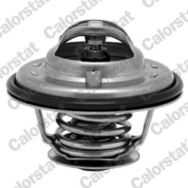 CALORSTAT by Vernet TH6533.92J Thermostat, Kühlmittel