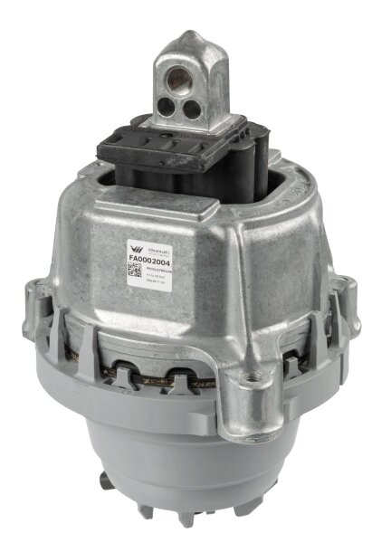 LEMFÖRDER 46455 01 Lagerung, Motor