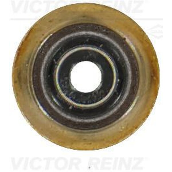 VICTOR REINZ 70-19255-00 Dichtring, Ventilschaft
