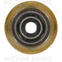 VICTOR REINZ 70-19255-00 Dichtring, Ventilschaft