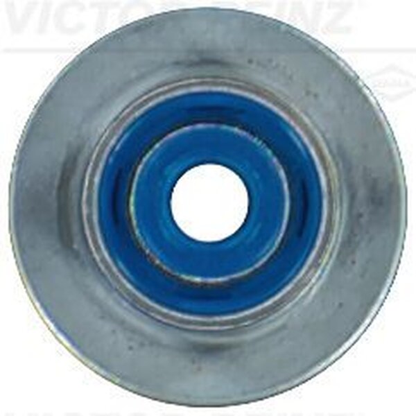 VICTOR REINZ 70-18379-00 Dichtring, Ventilschaft