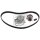 FEBI BILSTEIN 174610 Wasserpumpe + Zahnriemensatz