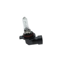 BOSCH 1 987 301 039 Glühlampe, Fernscheinwerfer