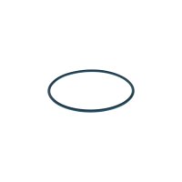 BOSCH F 00N 204 105 Gummiring