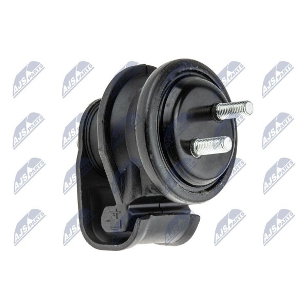 NTY ZPS-SU-026 Lagerung, Motor