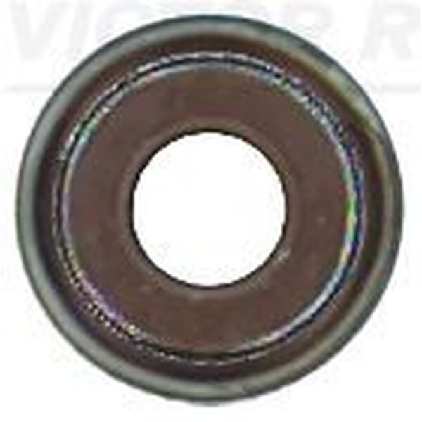 VICTOR REINZ 70-53036-10 Dichtring, Ventilschaft