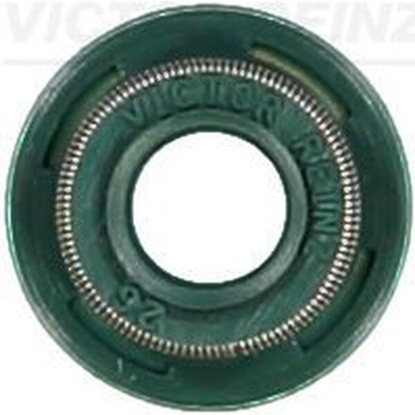 VICTOR REINZ 70-54171-00 Dichtring, Ventilschaft