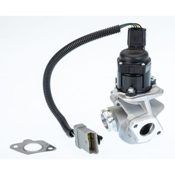 BorgWarner 710936D AGR-Ventil