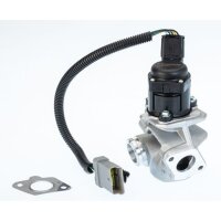 BorgWarner 710936D AGR-Ventil