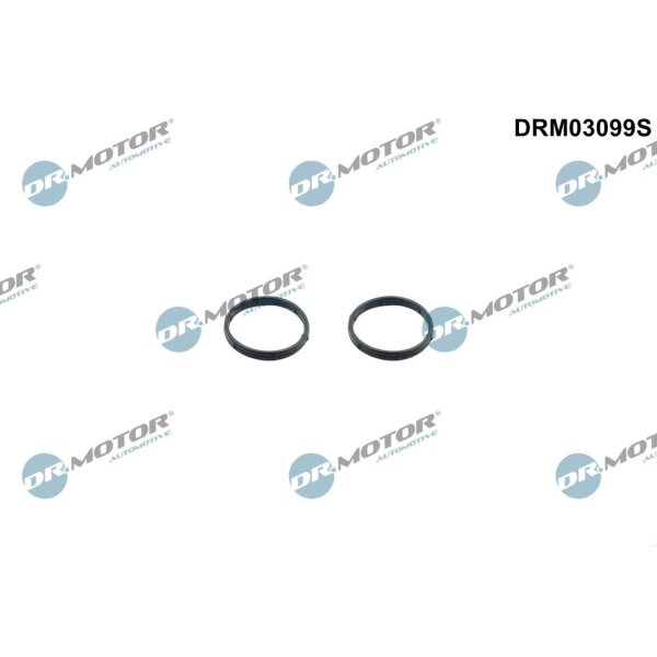 Dr.Motor Automotive DRM03099S Dichtungssatz, Ölpumpe