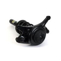 Arnott SK-3842 Stoßdämpfer