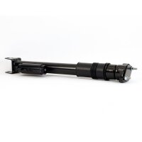 Arnott SK-3612 Stoßdämpfer