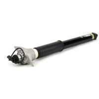 Arnott SKE-3822 Stoßdämpfer