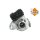 NRF 90010048 Lader, Aufladung