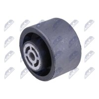 NTY ZPS-PE-013 Lagerung, Motor