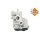 NRF 48790 AGR-Ventil
