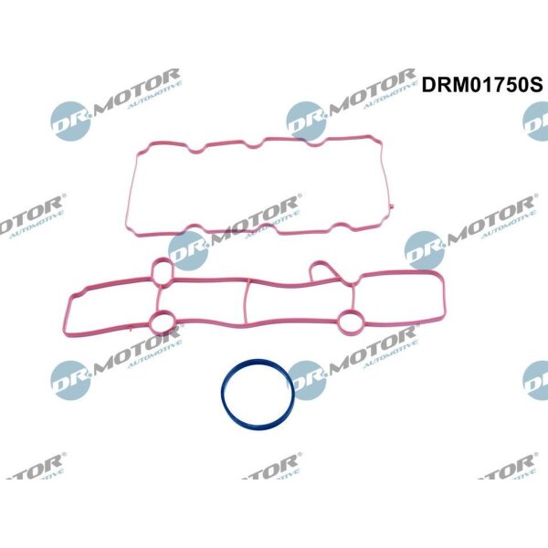 Dr.Motor Automotive DRM01750S Dichtungssatz, Ansaugkrümmer