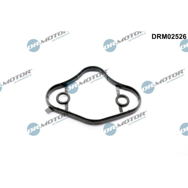 Dr.Motor Automotive DRM02526 Dichtung, Kraftstoffpumpe
