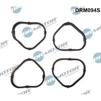 Dr.Motor Automotive DRM094S Dichtungssatz,...