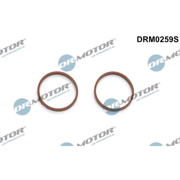 Dr.Motor Automotive DRM0259S Dichtungssatz, Ansaugkrümmer