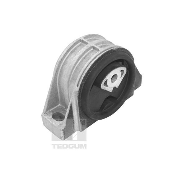 TEDGUM TED16678 Lagerung, Motor