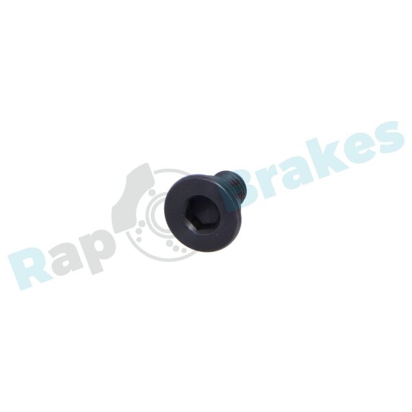 RAP BRAKES R-Z0165 Schraube, Bremsscheibe