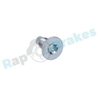RAP BRAKES R-Z0176 Schraube, Bremsscheibe